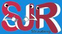 Link zum SJR Straubing